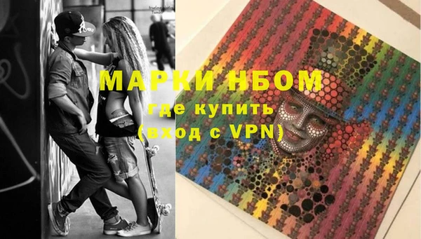 PSILOCYBIN Медвежьегорск