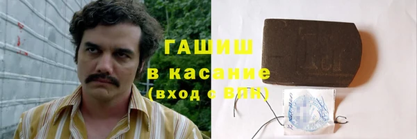дживик Ельня
