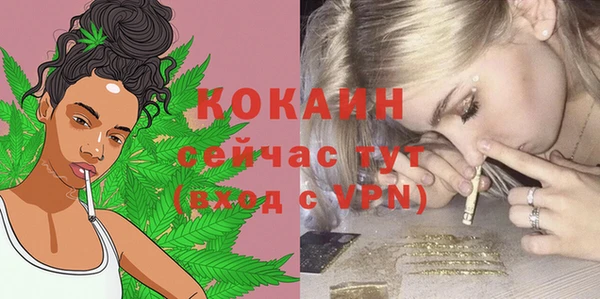 амф Мегион
