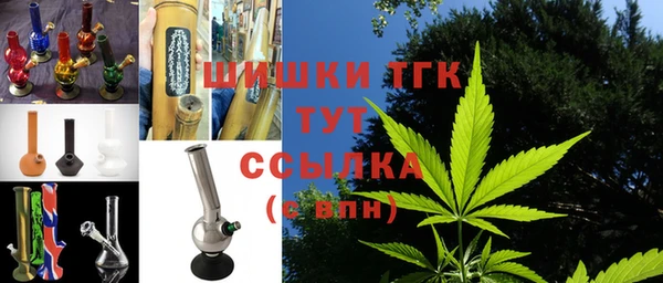 PSILOCYBIN Медвежьегорск