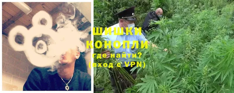 Каннабис OG Kush  Саки 